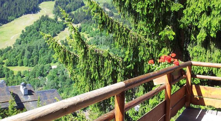 Chalet Hotel Marie Blanche, Meribel