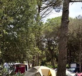 Отдых в Flower Camping Le Bel Air  - Франция, Ла-Флот