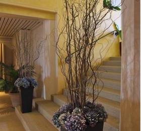 Туры в Le Grand Hotel Trestraou  в Франции