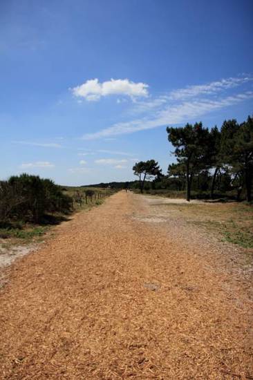 Camping de l'Atlantique  4* Франция, Фуэнан