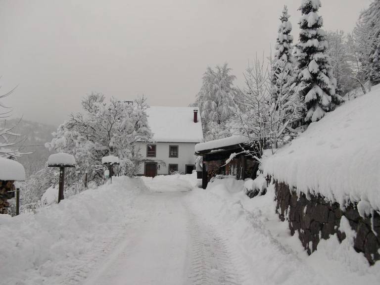 La Ferme du Vieux Sapin 