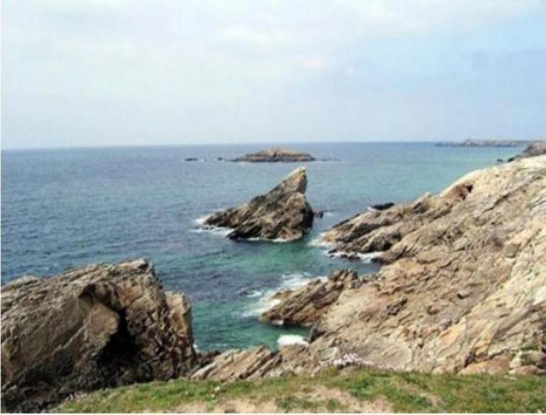 Camping les Palmiers 
