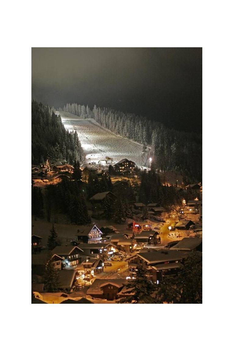 Demi-Chalet Le Bief 