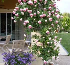 Chez Soi en Luberon  в Руссильоне