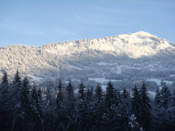 Chalet les Clarines  Франция, Самоен