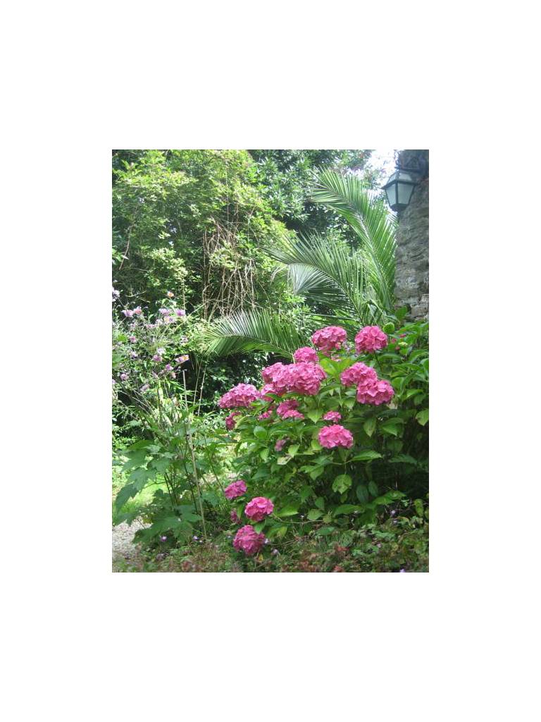 Appartement Cancale 