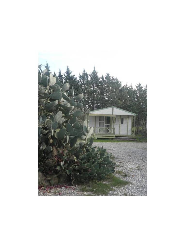 Camping Le Romarin 