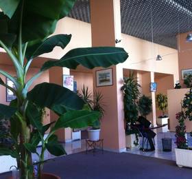 Studio Albert 1er в Ментона