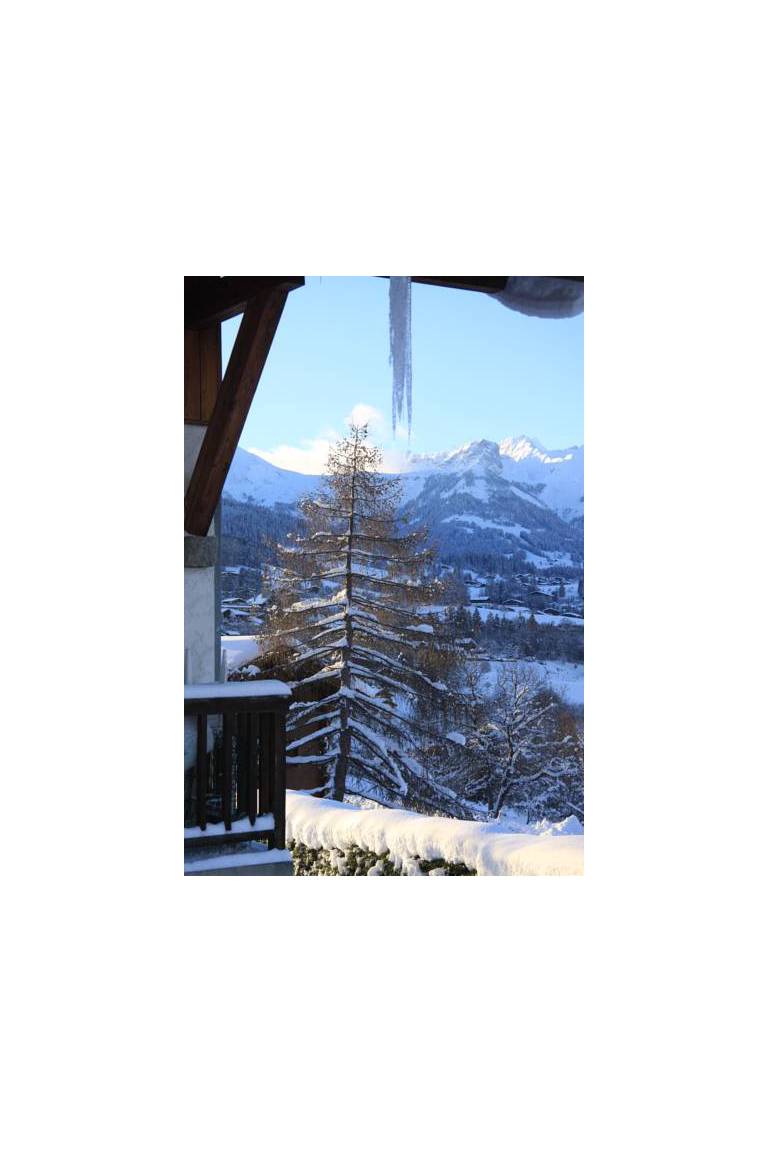Chalet Bagatelle 