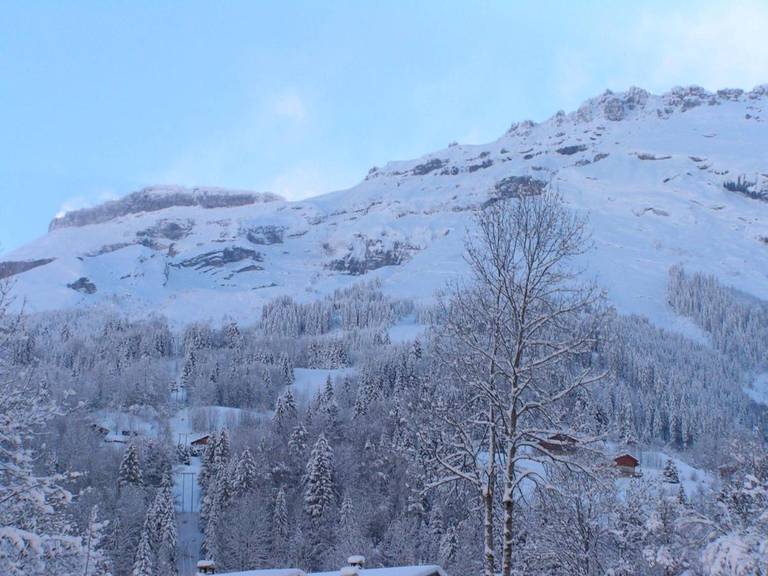 Chalet Narcisse 