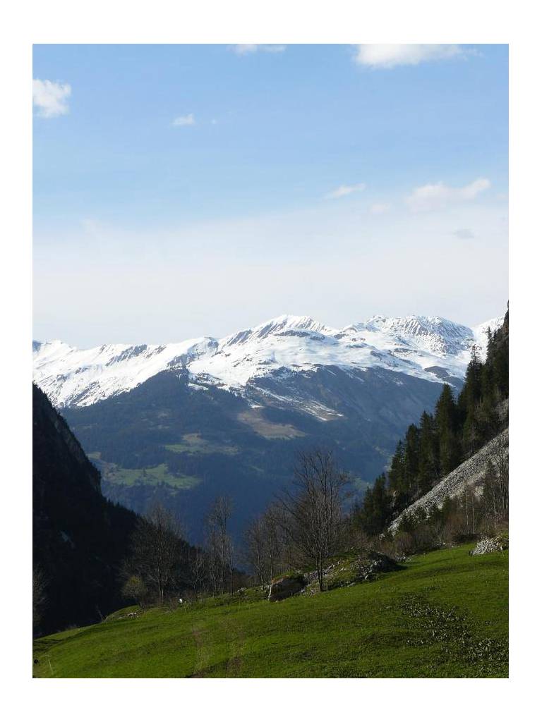 Chalet La Piat 