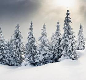 Le Chastellan  в Вальберге