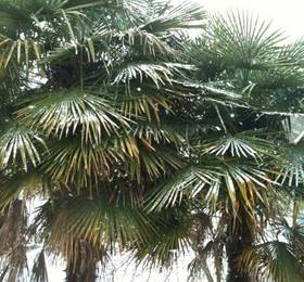 Туры в La Palmeraie  в Франции