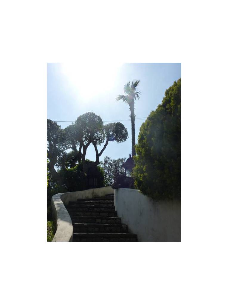 Villa Bali 
