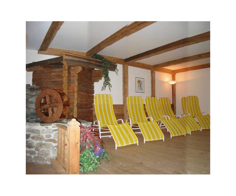Aktivwellnessappartements Margit & Alpbach Juwel 