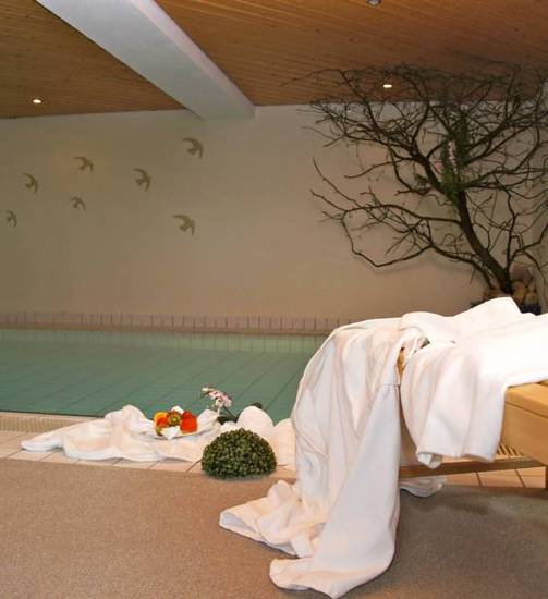 Hotel Moosgrund - Wieden im Schwarzwald  3* Германия, Виден
