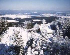 Отдых в Holiday home Waldsiedlung - Германия, Бишофсмайс