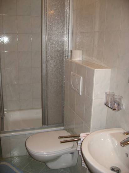 Studio Christina im Landhaus Christina  Австрия, Альпбах