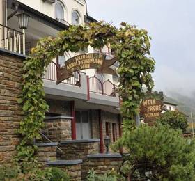 Ferienweingut Arnold Fuhrmann & Sohn  в Элленц-Польтерсдорфе