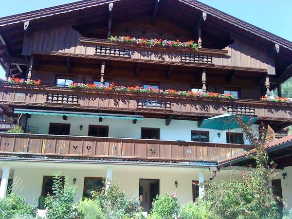 Andreas Apartment im Landhaus Moser  Австрия, Альпбах