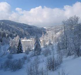 Туры в Berghotel Schwarzwaldblick-Triberg  в Германии