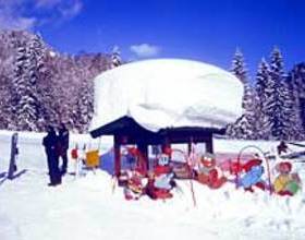 Almhutte Wimmer в Ункене