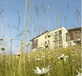 Туры в Schliffkopf Wellness & Natur Hotel  в Германии