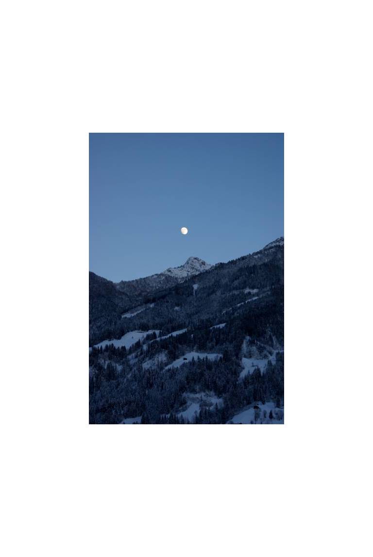 Traum-Ferienwohnung im Zillertal 
