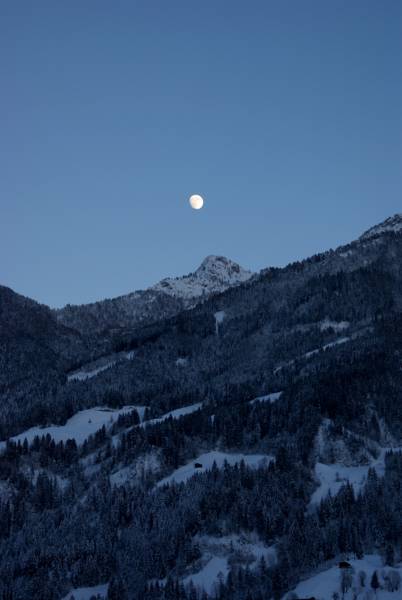 Traum-Ferienwohnung im Zillertal 