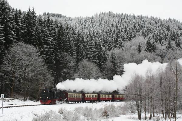 Ferienwohnung im Harz-Haus-Bruns  5* Германия, Клаусталь-Целлерфельд