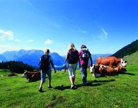 Holiday Home Bergblick Annaberg  в Аннаберг-им-Ламмертале
