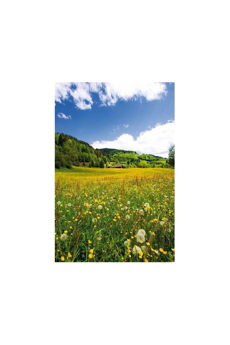 Panoramawohnung Bauernhof Mandl 