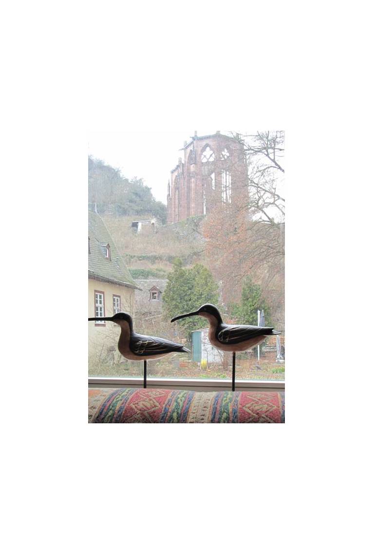 Ferienhaus Frohnatur Bacharach 