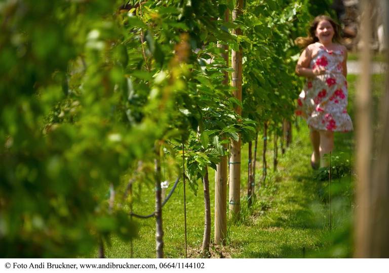 Winzerzimmer - Weingut Tinhof 