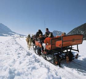 Туры в Hotel Schick und Mountain Inn  в Австрии