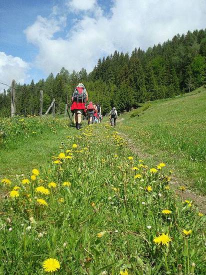 Wander-Vitalhotel Steirerhof  4* Австрия, Пихль
