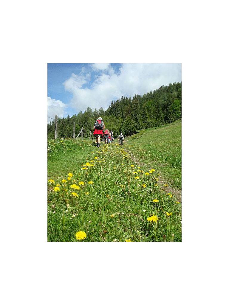 Wander-Vitalhotel Steirerhof 