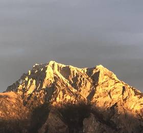 Отдых в Apartment Parkvilla Traunsee - Австрия, Альтмюнстер