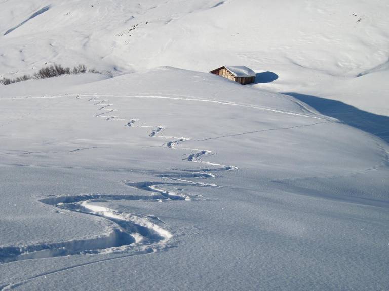 Alpin Garni Das Kleine Hotel 