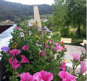 Отдых в Engl Hof - Reith bei Seefeld  - Австрия, Райт-бай-Зеефельд