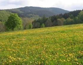 Holiday Home Petrus Medebach  в Медебахе