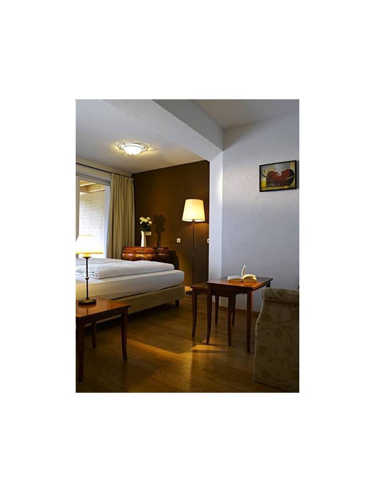 Family-Relax-Hotel Bellevue 