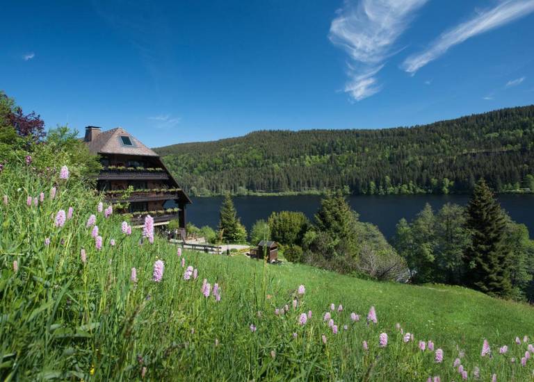 Boutique Hotel Alemannenhof 