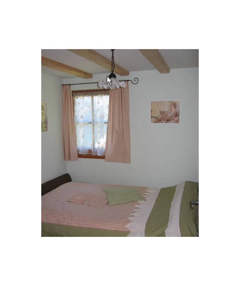 Ferienhaus - Bregenzerwald 
