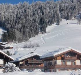 Alpenchalet Luxusapartment  в Райт-им-Винкле