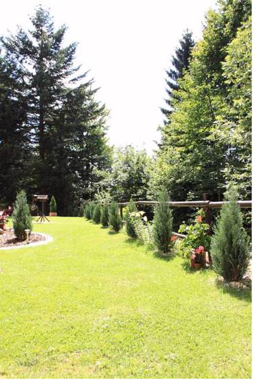 Hotel Sonnleitn Bodenmais  3* Германия, Боденмайс
