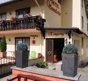 Hotel Sonnleitn Bodenmais  в Боденмайсе