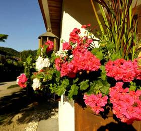 Туры в Hotel Restaurant Bichlhof в Германии