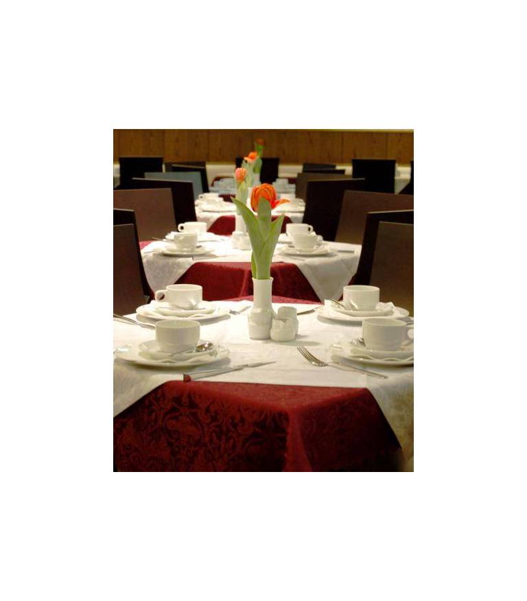 Airport Hotel Kelsterbach 
