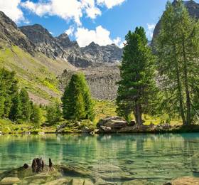 Туры в Alpinhotel Monte Superior в Австрии